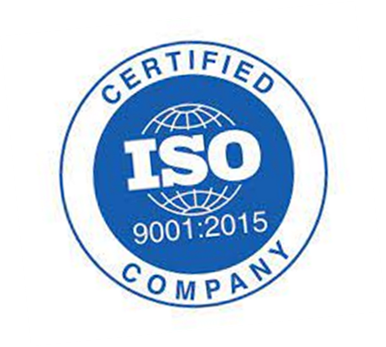 ISO 9001 SP